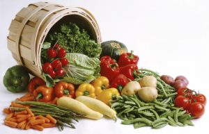 Why consider sustainable food - Sustainability - University of Queensland